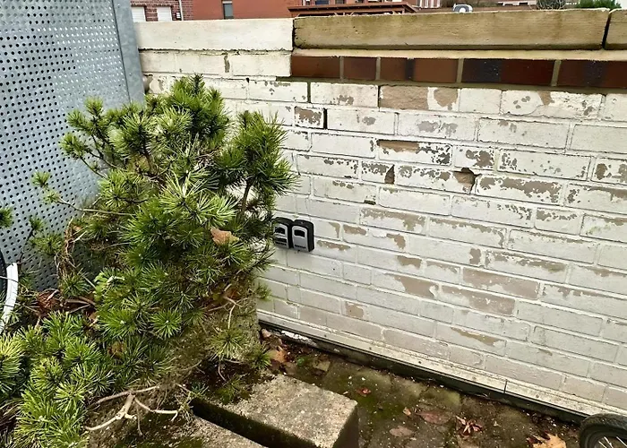 Lejlighed Sleepwell-muenster Ii Am Stadion & Zentral Münster